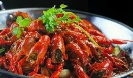 红军龙虾爆料视频播放,揭秘美味背后的红色故事