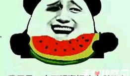 娱乐圈吃瓜的梗是什么,揭秘“吃瓜群众”背后的真相与笑料