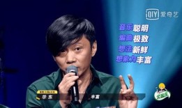 圈内爆料乐夏2,揭秘幕后故事，探寻音乐盛宴背后的精彩瞬间