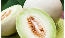 网红吃白兰瓜视频在线观看