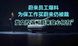 蔚来被裁员工爆料了吗最新消息,揭秘裁员内幕与员工心声