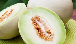 网红吃白兰瓜视频在线观看