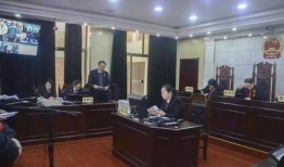 石家庄高邑最新爆料案件,真相背后，正义何在？