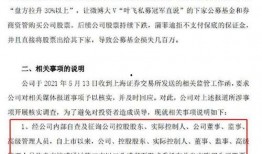 叶飞最新爆料股,揭秘股市风云再起