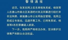 唐山实名爆料最新消息,揭露事件背后惊人真相
