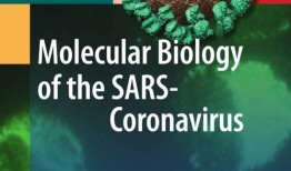 病毒专家爆料视频播放下载,病毒视频播放下载背后的真相