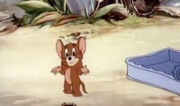 鼠年故事爆料大全最新,揭秘最新爆料大全中的神秘故事