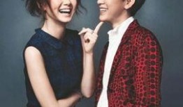 娱乐圈的les爆料,揭秘隐藏在光鲜背后的情感纠葛