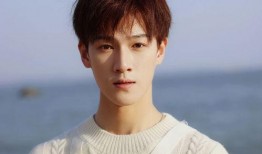 天涯爆料王皓轩视频下载,揭秘幕后真相