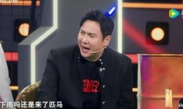 扒哥爆料沈腾是哪一期视频