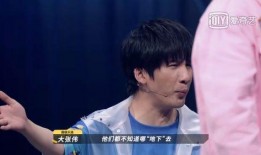 圈内爆料乐夏2,揭秘幕后故事，探寻音乐盛宴背后的精彩瞬间