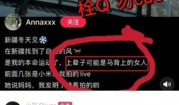 奚安娜最新爆料新闻,揭秘娱乐圈惊人内幕！