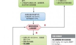 保险拒赔爆料流程视频教程,揭秘爆料流程与维权技巧