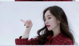 娱乐圈爆料小说2019