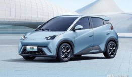 比亚迪海鸥爆料事件视频,揭秘新车型背后的真相