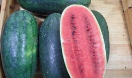 最新吃瓜黑瓜爆料新闻,神秘黑瓜事件引发热议，真相究竟如何？