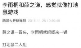 开心吃瓜笔记在线观看免费,揭秘娱乐圈幕后趣事