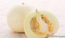 网红吃白兰瓜视频在线观看