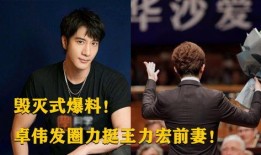 王力宏爆料消息最新新闻,揭秘娱乐圈惊人内幕！