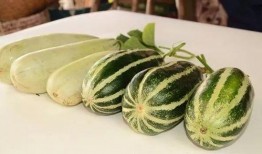 网红吃瓜不要钱,免费盛宴背后的真相揭秘