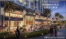 深圳盐田区爆料案件最新,案情揭秘，警方全力侦破