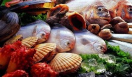 海鲜工厂爆料视频,独家爆料视频曝光幕后真相