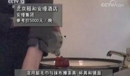蛇姐被人爆料黑历史视频,揭秘网络红人的真实面目