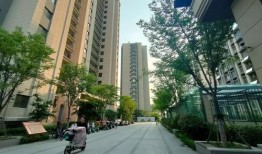 德州楼市爆料新闻最新消息,揭秘房价走势与政策调整