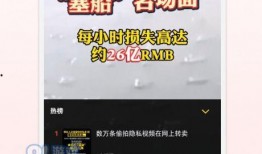 外媒爆料新十条新闻视频,新十条新闻背后的真相与影响