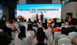 聊城爆料莘县事件视频,聊城街头冲突引发热议