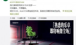 yeah最新爆料,揭秘娱乐圈惊天大事件！