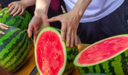 免费吃瓜天天,天天畅享娱乐盛宴