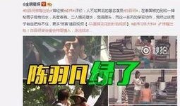 洪大炮爆料村长视频大全,村长视频大全背后的惊人真相