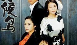 冬鸟韩剧在线观看,冬日里的温暖爱情故事