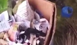 最新老鼠爆料新闻,揭秘娱乐圈惊人内幕