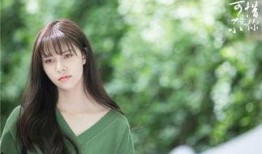 小叶子爆料全过程视频,揭秘事件真相与幕后故事