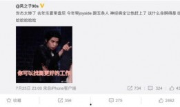 圈内爆料乐夏2,揭秘幕后故事，探寻音乐盛宴背后的精彩瞬间