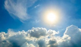 爆料敲猛的阿飞腾讯新闻,阿飞事件真相大揭秘