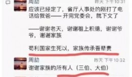 陈公子爆料视频大全,揭秘娱乐圈幕后真相