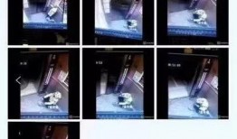 最新外卖爆料视频,最新行业乱象深度剖析