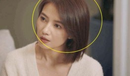 老杨爆料第七季视频播放,第七季视频播放背后的惊人真相揭秘