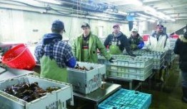 海鲜工厂爆料视频,独家爆料视频曝光幕后真相